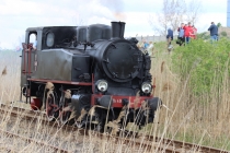 Urz�d Miejski w Wolsztynie