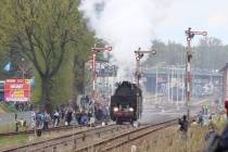 Urz�d Miejski w Wolsztynie