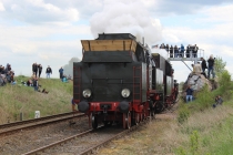 Urz�d Miejski w Wolsztynie
