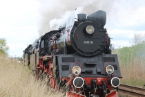Urz�d Miejski w Wolsztynie
