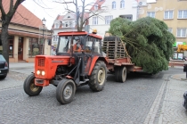 Urzd Miejski w Wolsztynie