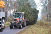 Urzd Miejski w Wolsztynie