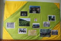 Urz�d Miejski w Wolsztynie