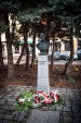 Urz�d Miejski w Wolsztynie